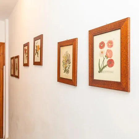 Casa Raftin アパート