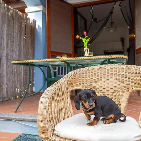 Casa Raftin شقة *