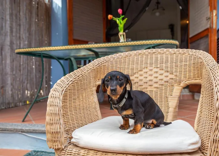 Casa Raftin 公寓 *